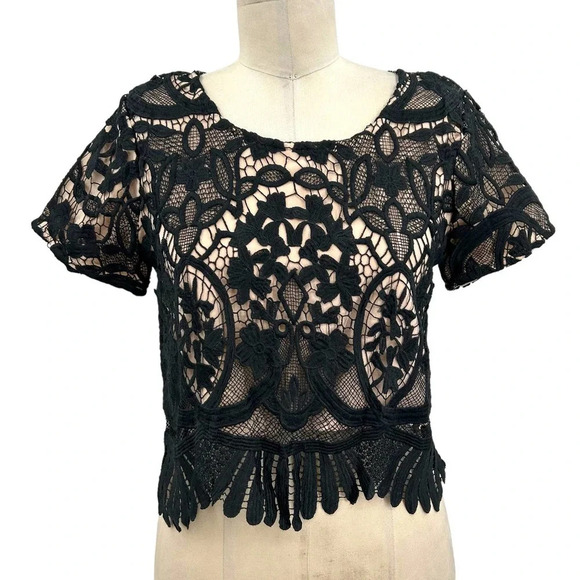 Lovers & Friends Black Lace Crop‎ Top Nude Short Sleeve Size Small - Picture 2 of 7
